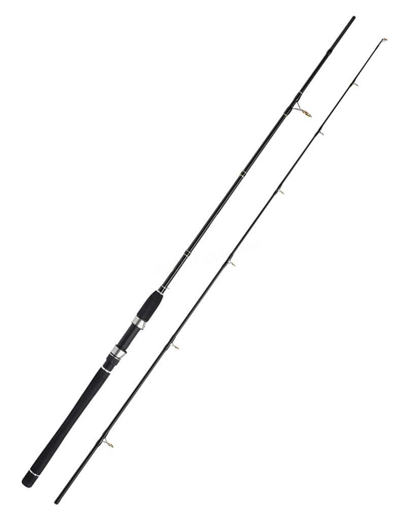Seadart Pollack Jigger 2,20m / 20-60g, 2 dílny